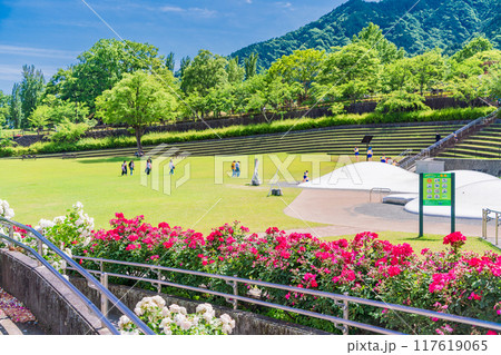 【山梨県】 満開のバラが美しい　富士川クラフトパーク・バラ園 117619065