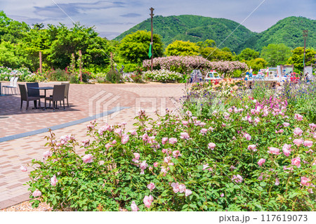 【山梨県】 満開のバラが美しい　富士川クラフトパーク・バラ園 117619073
