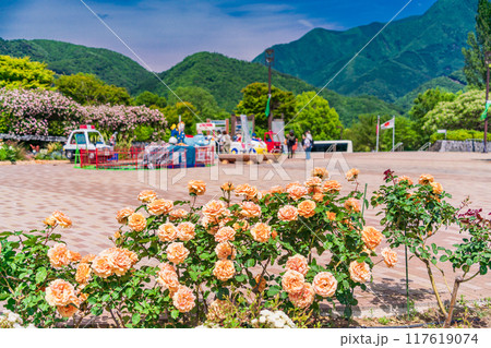 【山梨県】 満開のバラが美しい 富士川クラフトパーク・バラ園 【山梨県】 満開のバラが美しい 富士川クラフトパーク・バラ園 117619074