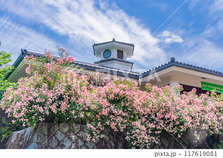 【山梨県】 満開のバラが美しい　富士川クラフトパーク・バラ園 117619081