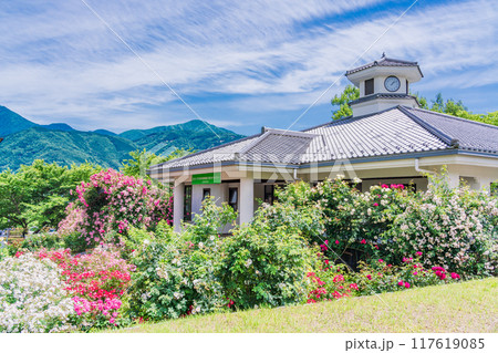 【山梨県】 満開のバラが美しい　富士川クラフトパーク・バラ園 117619085