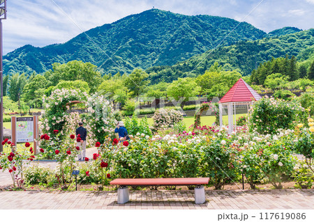 【山梨県】 満開のバラが美しい　富士川クラフトパーク・バラ園 117619086