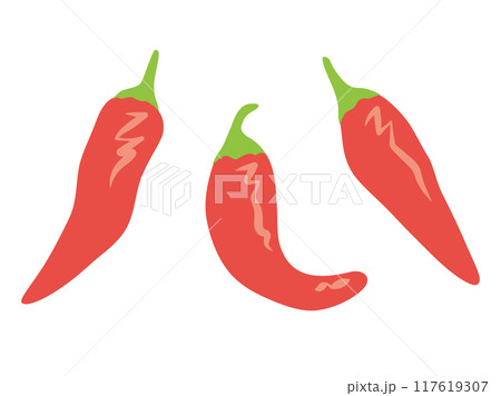 唐辛子 3本セット 唐辛子 3本セット 117619307