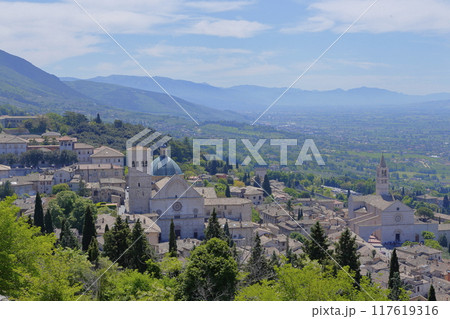 アッシジの丘から見下ろす街並み アッシジの丘から見下ろす街並み 117619316