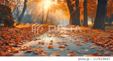 Walkway in Autumn Park 117619687