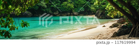 Secluded Tropical Beach with Crystal Clear Water 117619994