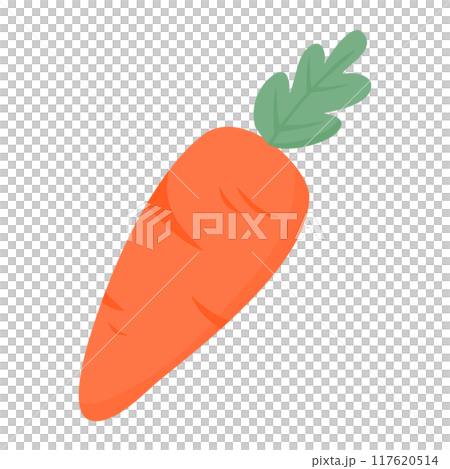 hand drawn vegetables carrot  117620514