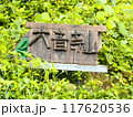 浅間温泉近くの大音寺山登山道入口の木製の道標 117620536