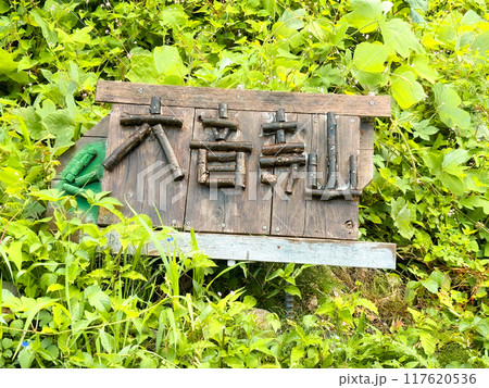 浅間温泉近くの大音寺山登山道入口の木製の道標 117620536