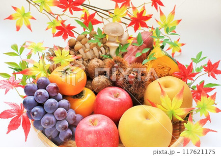 秋の食材 117621175