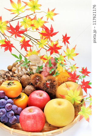秋の食材 117621176