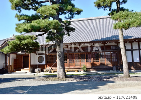 沼津市　松陰寺のお堂と松の木 117621409