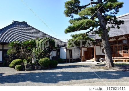 沼津市　松陰寺のお堂と松の木 117621411