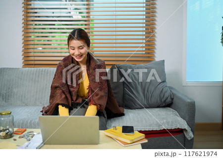 Young woman using laptop managing her monthly budget with online program . Financial management concept 117621974