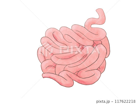 消化器の解剖生理　小腸 117622218