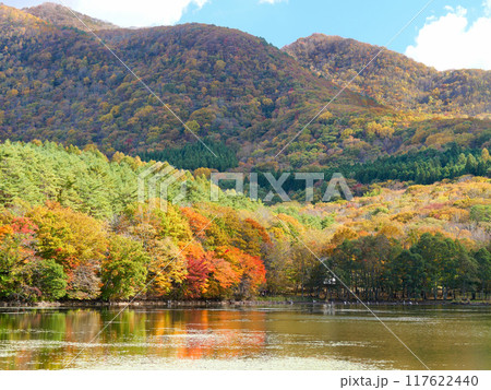 紅葉の観音沼森林公園(福島県南会津郡) 紅葉の観音沼森林公園(福島県南会津郡) 117622440