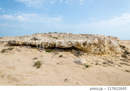 Limestone hillocks at Purple Island at Al Khor in Qatar 117622695