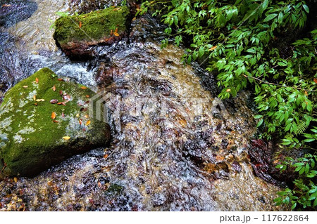 瓜破の滝の名水 117622864