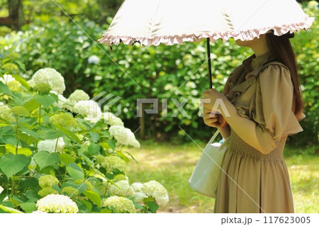 宗吾参道の紫陽花 宗吾参道の紫陽花 117623005