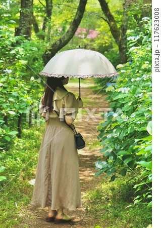 宗吾参道の紫陽花 宗吾参道の紫陽花 117623008