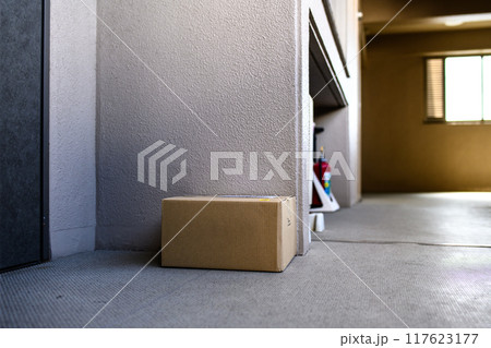 置き配の段ボール　配達されたダンボールの荷物　家の前　マンションの玄関　外廊下 117623177