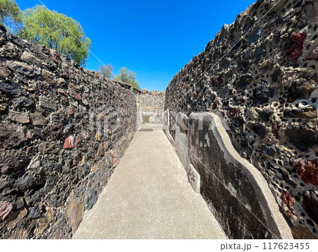 メキシコ・テオティワカン遺跡　ジャガーの宮殿 117623455
