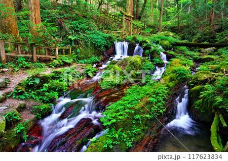 瓜割の滝 117623834