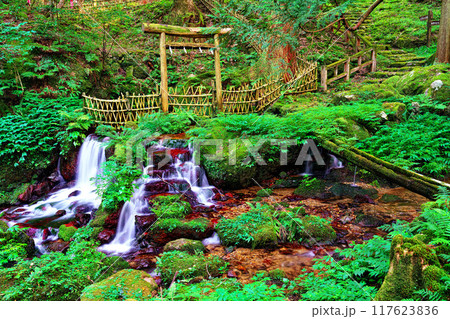 瓜割の滝 瓜割の滝 117623836
