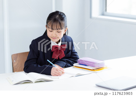 勉強する女子中学生 勉強する女子中学生 117623903
