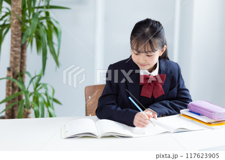 勉強する女子中学生 勉強する女子中学生 117623905