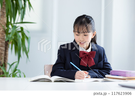 勉強する女子中学生 勉強する女子中学生 117623906