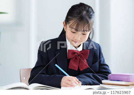 勉強する女子中学生 勉強する女子中学生 117623907