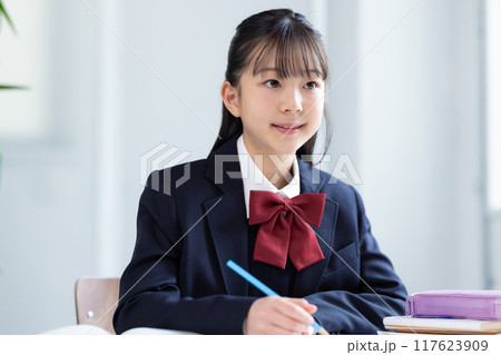 勉強する女子中学生 勉強する女子中学生 117623909