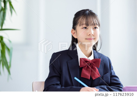 勉強する女子中学生 勉強する女子中学生 117623910