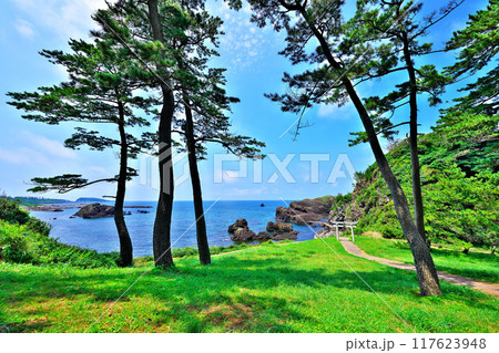 越前松島 117623948