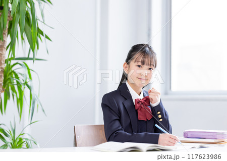 勉強する女子中学生 勉強する女子中学生 117623986