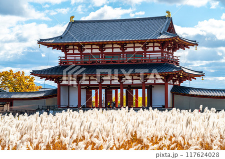【奈良県】輝くススキが綺麗な平城宮の朱雀門 117624028