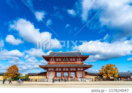 【奈良県】ダイナミックな青空が広がる平城宮の朱雀門 117624047