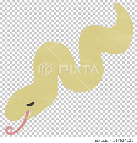 蜿蜒的蛇（有紋理） 117624123