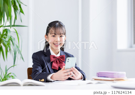 勉強する女子中学生 勉強する女子中学生 117624134