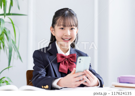 勉強する女子中学生 勉強する女子中学生 117624135