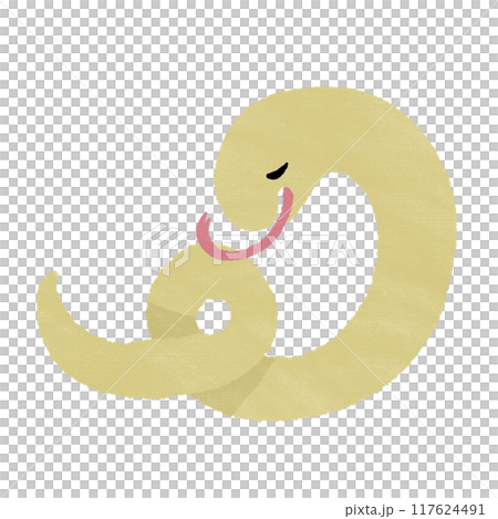 卷蛇黃（有紋理） 117624491