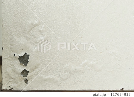 Paint peeling and swelling from moisture 117624935
