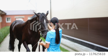 A woman in stroking the muzzle of a brown horse 117625610