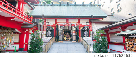 「東京都」浅草・鷲神社の風景 117625630