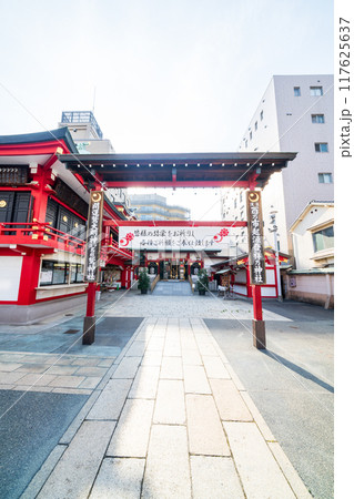 「東京都」浅草・鷲神社の風景 「東京都」浅草・鷲神社の風景 117625637