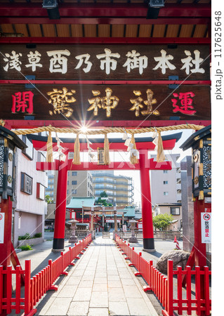 「東京都」浅草・鷲神社の風景 「東京都」浅草・鷲神社の風景 117625648