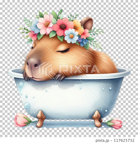 Cute Capybara sleeping in the bathtub 117625732