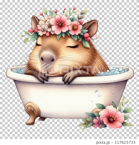 Cute Capybara sleeping in the bathtub 117625733