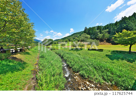 一乗谷朝倉氏遺跡 一乗谷朝倉氏遺跡 117625744